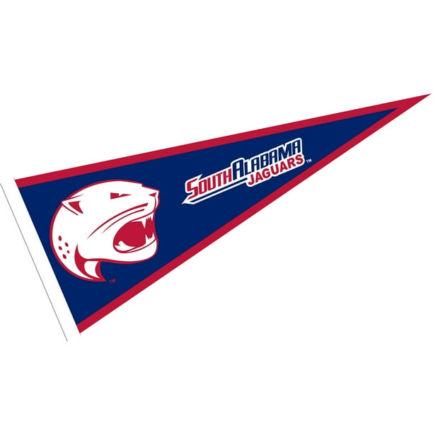 USA Jaguars Car and Auto Flag College Flags /& Banners Co